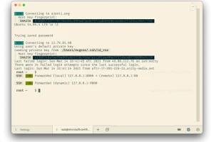 跨平台终端神器 | Tabby v1.0.208 绿色中文版