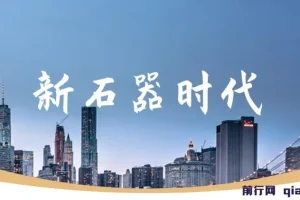 工作室内部新石器时代全自动起号升级抓宠物打金群控，单窗口一天10+