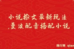 小说推文最新玩法，曼波配音搭配小说，条条爆单