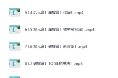 《英语零基础直达口语流利》B站付费课程 -来自美国的周树华