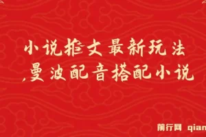 小说推文最新玩法，曼波配音搭配小说，条条爆单