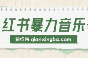 小红书暴力音乐号，无脑搞流量暴力变现，单号月入5000+