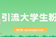 免费资料引流大学生粉一部手机实现日入300+,蓝海项目