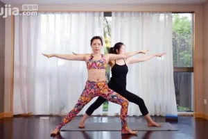 杨淇五行经络瑜伽：养生理疗全教程