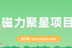 磁力聚星项目，24小时无人直播，4个月变现122w，可矩阵操作