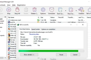Internet Download Manager v6.42.11中文特别版(IDM)