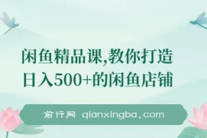闲鱼精品课，教你打造日入500+的闲鱼店铺，细致讲解看完就会