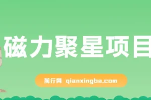 磁力聚星项目，24小时无人直播，4个月变现122w，可矩阵操作