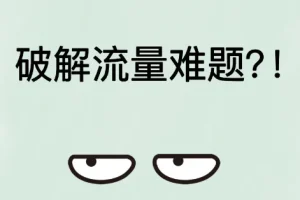破解流量难题：构建私域流量池，掌握营销引流秘籍
