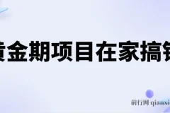 黄金期项目，电商搞钱！一个人，一部手机，在家可做，每天收入500+