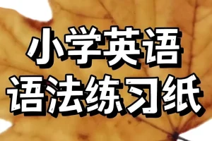 《语法作业纸》 (Labubu主题版)