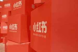 小Red书带货42天训练营 2.0版，宝妈+自由职+上班族+大学生，提高副业收入的大红利项目