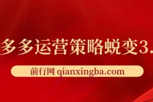 2024拼多多运营策略蜕变3.0-提升拼多多认知、制定运营策略、实现盈利收割等