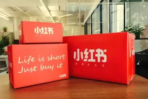 小红书广告投放从0到1的实战课，学完即可开始投放，拒绝无效广告消耗