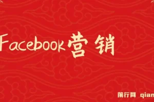 Facebook营销实战：从注册到发布，掌握潜在客户开发技巧与再营销策略