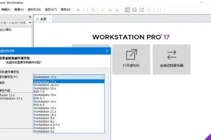 VMware Workstation Pro 17.6.1 中文精简注册版