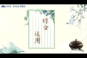 云舒写初中必考文言文40讲：高效掌握文言文考点