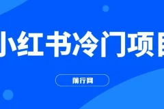 小红书冷门项目，3分钟一个原创作品，软件生成文字动画视频，轻松日入500+