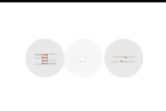 2024高二生物必修课：陈旭晨精讲基因工程与发酵技术