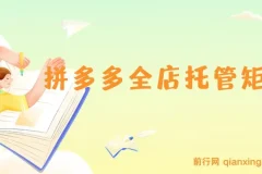 拼多多全店托管矩阵课，盈利动销玩法，高效计划设置，提升店铺效益