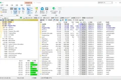 磁盘分析工具 | TreeSize Pro v9.1.5.1885 纯净安装版