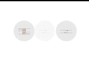 2024高二生物必修课：陈旭晨精讲基因工程与发酵技术