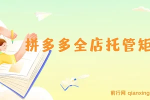 拼多多全店托管矩阵课，盈利动销玩法，高效计划设置，提升店铺效益