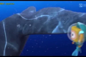 斑马百科：极地动物世界探秘