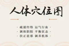 最全的高清人体穴位图以及穴位图解大全