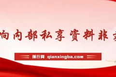 群响流量黄宝书25-29期，群响内部私享资料非卖品