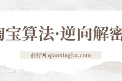 淘宝算法·逆向解密：纯黑纯白玩法 7天上首页纯搜索 手淘首页14天流量过万