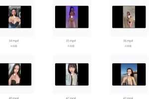 网络各大平台女主播擦边付费小视频合集