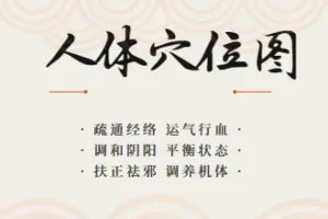 最全的高清人体穴位图以及穴位图解大全