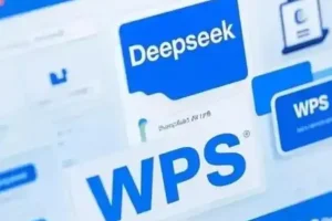 Deepseek实际应用技巧—手把手教学版，实用高效干货