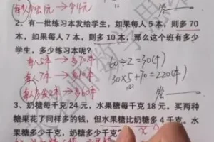 《小学奥数L5进阶：30讲攻克方程/几何/应用题》