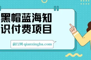 黑帽蓝海知识付费项目，黑帽培训技术
