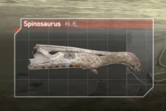 3-8岁必看纪录片｜儿童启蒙精选｜64.3GB高清合集