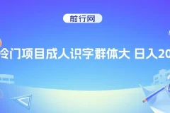 抖音快手成人识字冷门项目日入2000+