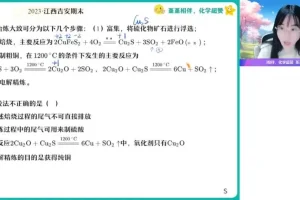 2024高一化学尖端班-王瑾春季系统课（含硫氮/反应原理/有机化学）