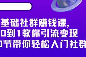 零基础社群赚钱课，从0到1教你引流变现，20节带你轻松入门社群