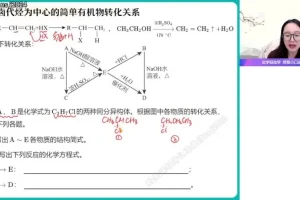 2024高二化学寒假提升班-赵怡然精讲原子结构/有机化学