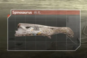 3-8岁必看纪录片｜儿童启蒙精选｜64.3GB高清合集