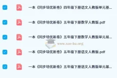 一本小学同步培优新卷