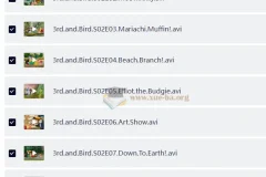 BBC儿童性格培养动画 小鸟3号 3rd and Bird s1+s2 (视频+音频)