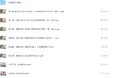 男性能力增强视频教程《男性训练精华》