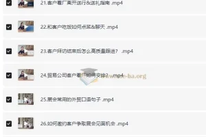 外贸全能商务英语课 学完轻松谈生意 轻松拿订单