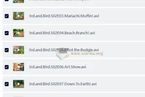 BBC儿童性格培养动画 小鸟3号 3rd and Bird s1+s2 (视频+音频)