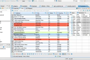 数据库管理 DBeaver Community Edition v24.1.1 中文版