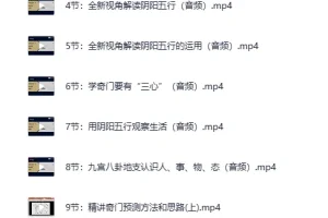 《参透易经奇门玄学预测22门技术的逻辑并学会应用》