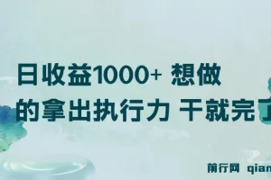 日收益1000+ 想做的拿出执行力 干就完了